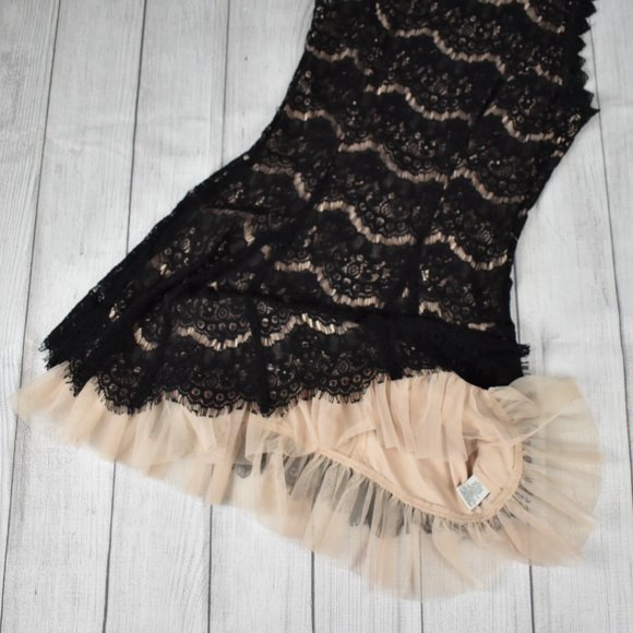 Whimsygoth Francesca Lace and Toole Sleeveless Full Skirt Semi Formal Dress - Picture 4 of 6